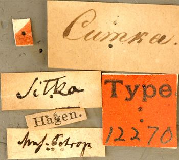 Media type: image; Entomology 12270   Aspect: labels